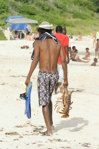 All in a days work © Ian & Andrea Treleaven